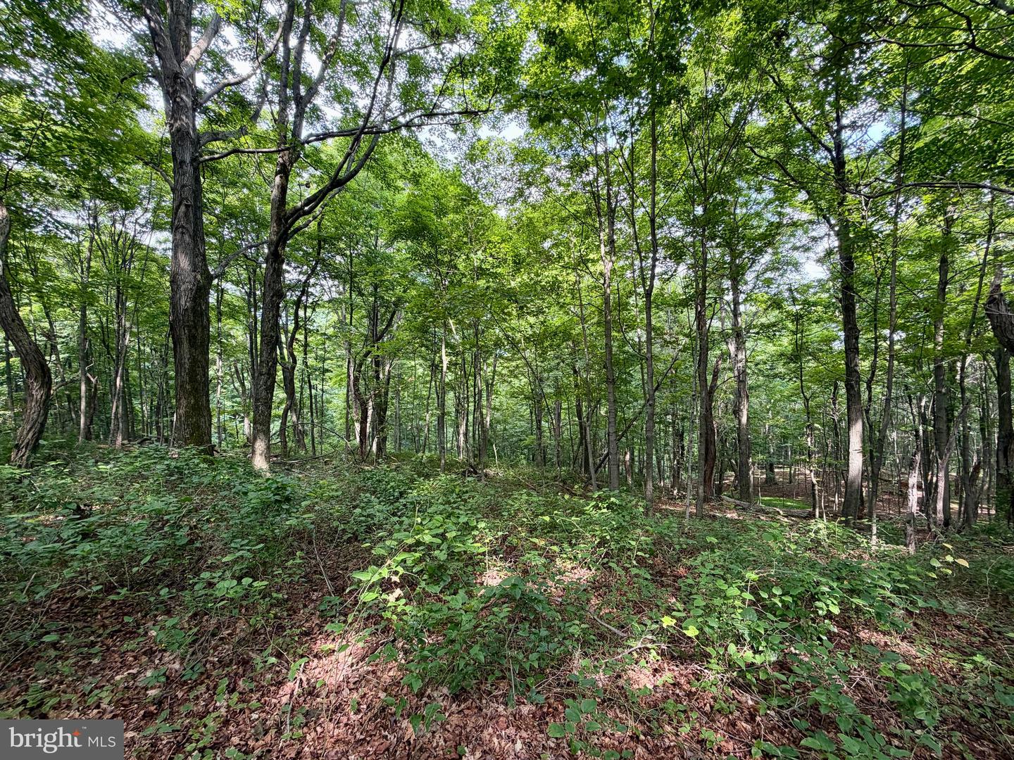 111ac Main Road Property Photo 21