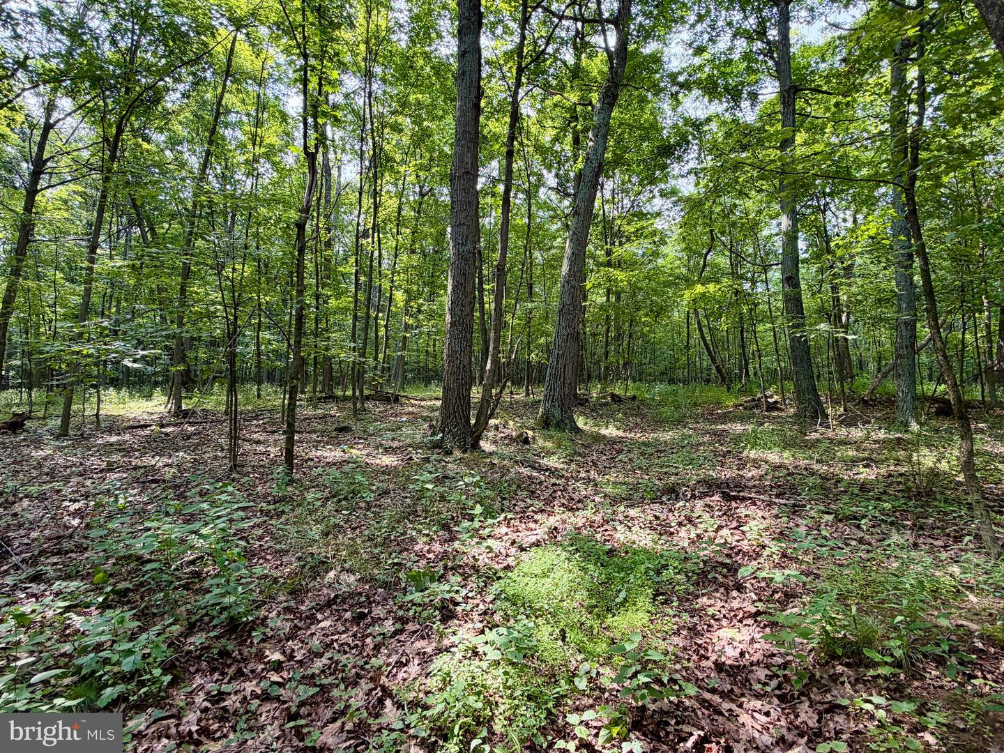 111ac Main Road Property Photo 22