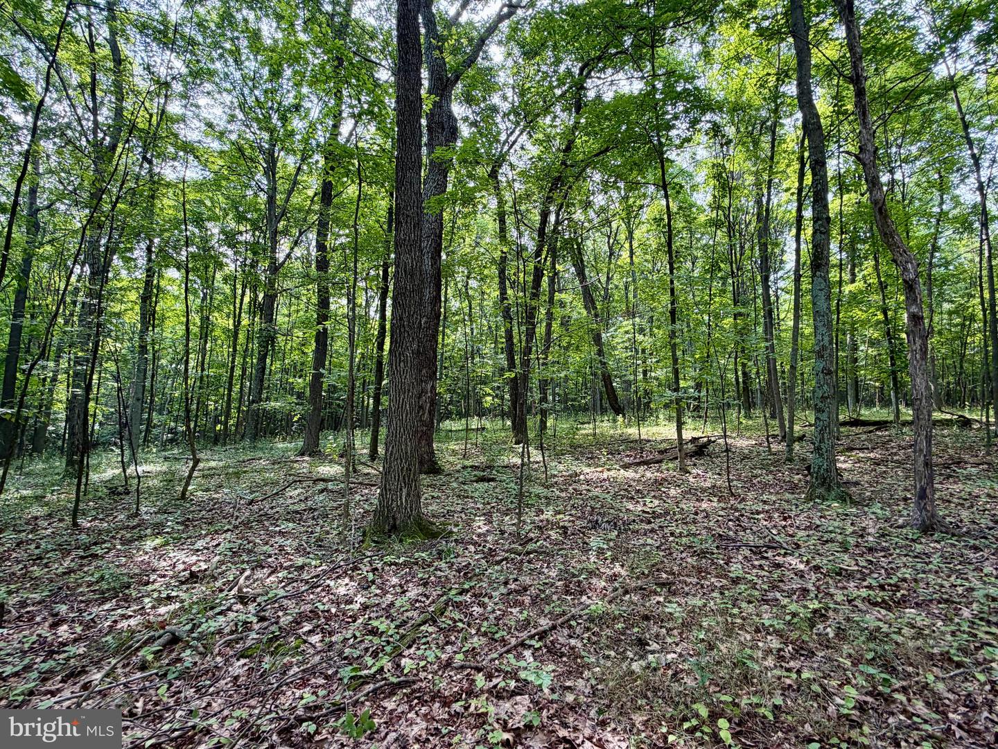 111ac Main Road Property Photo 23