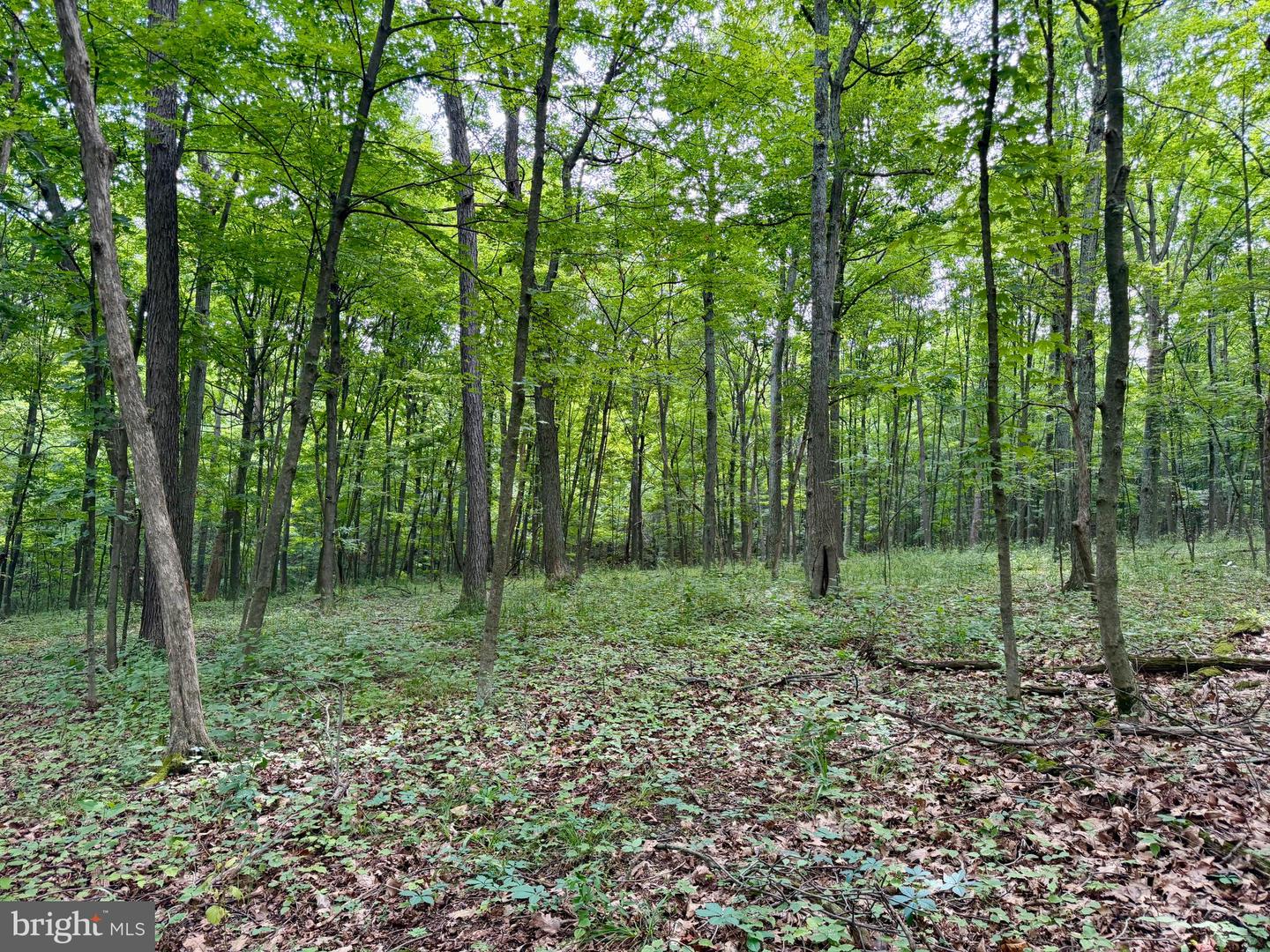 111ac Main Road Property Photo 24