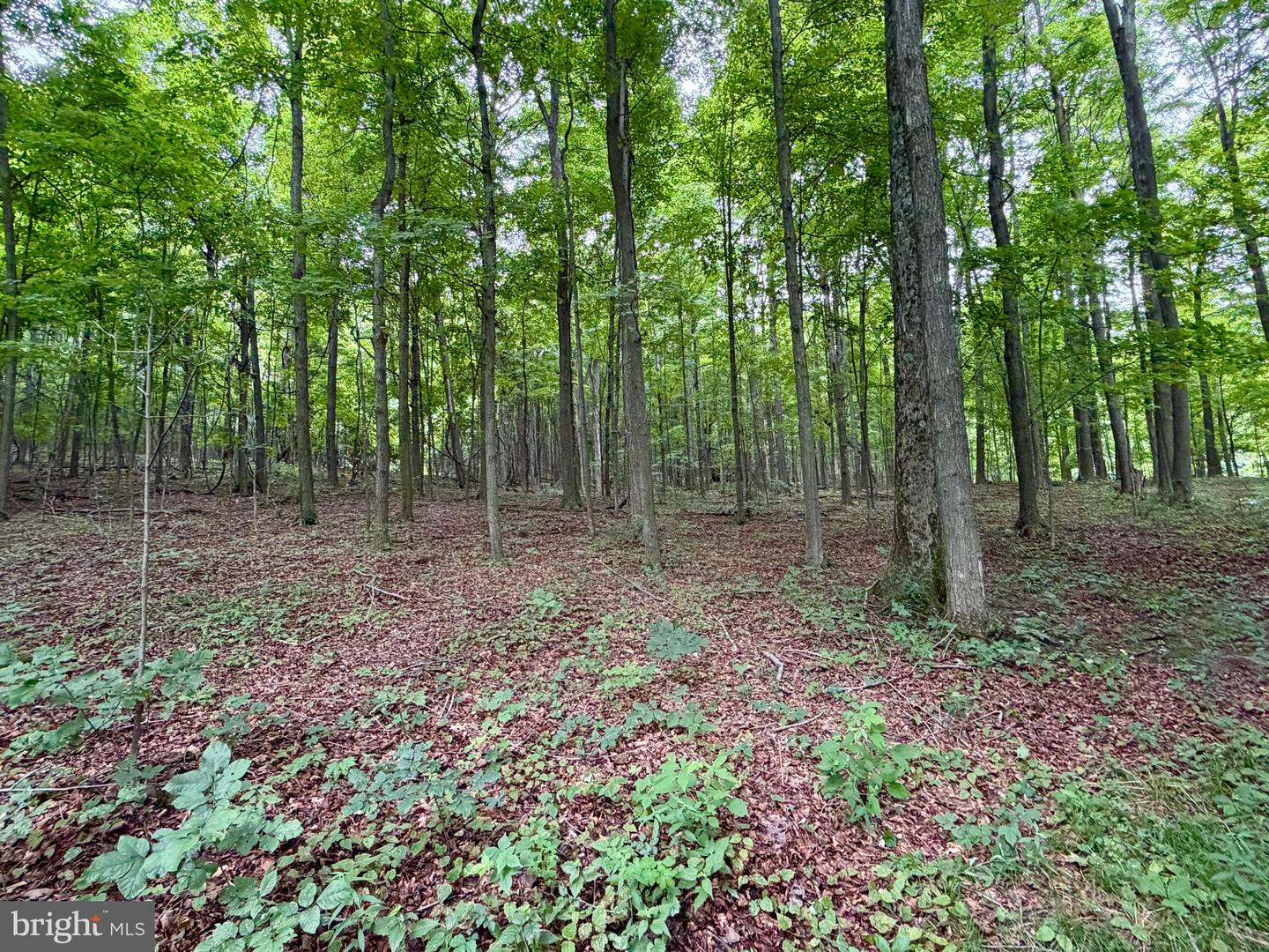 111ac Main Road Property Photo 25