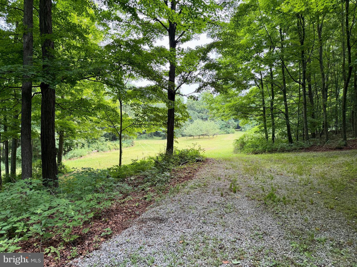 111ac Main Road Property Photo 26