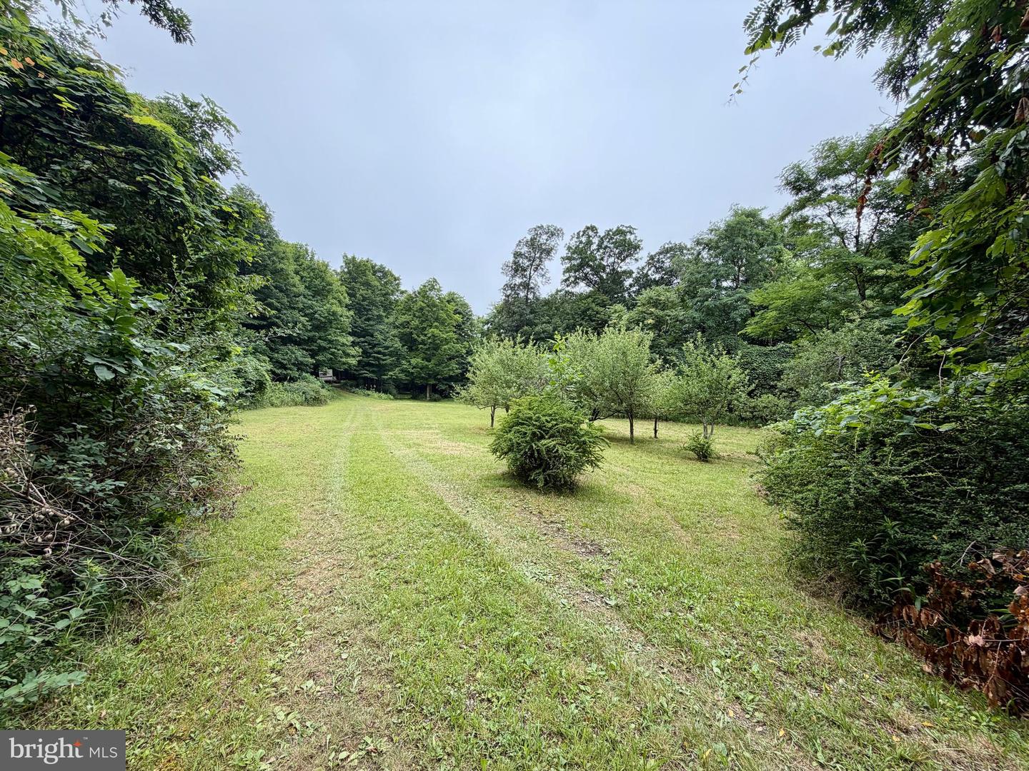 111ac Main Road Property Photo 29