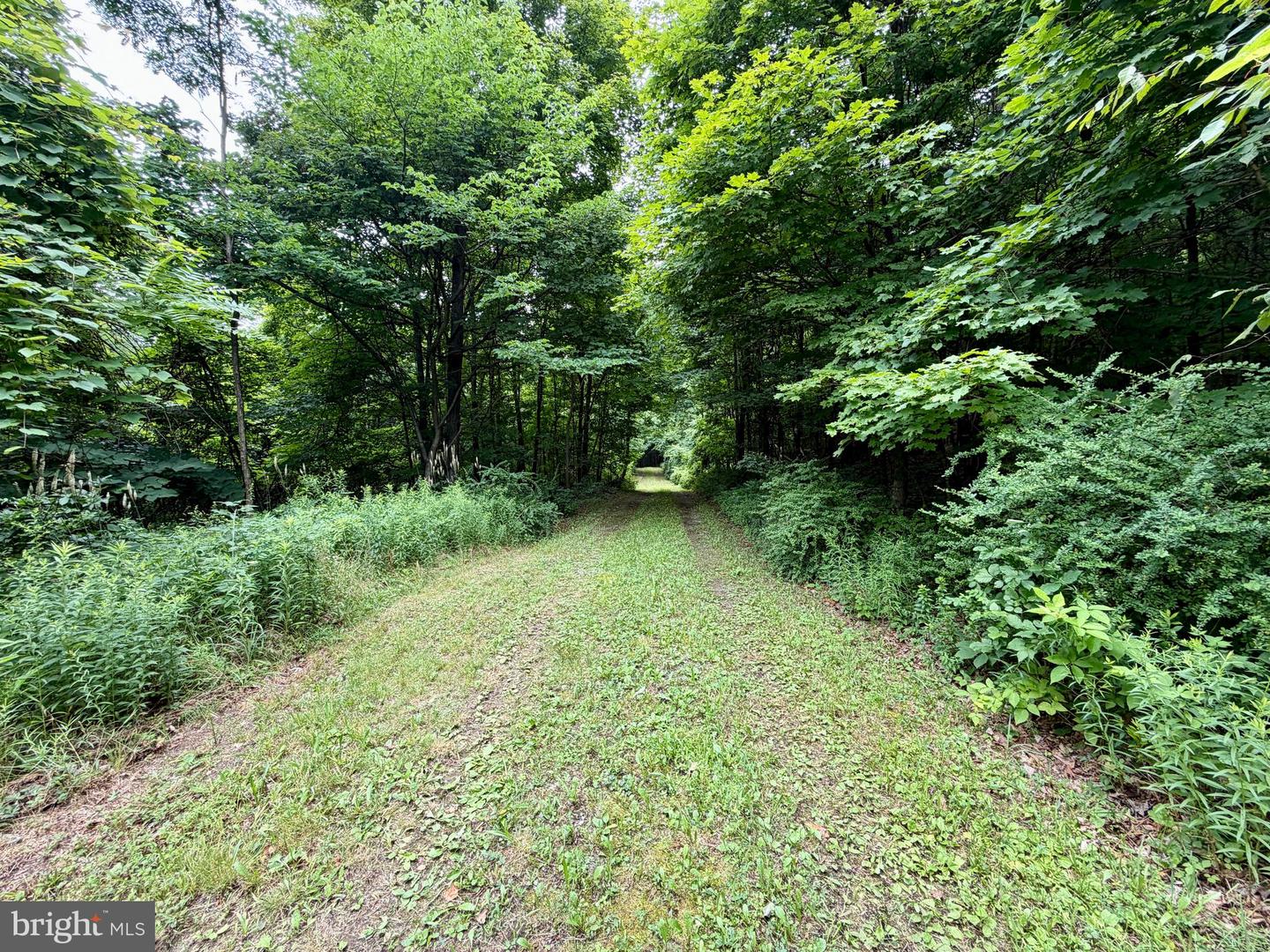 111ac Main Road Property Photo 30