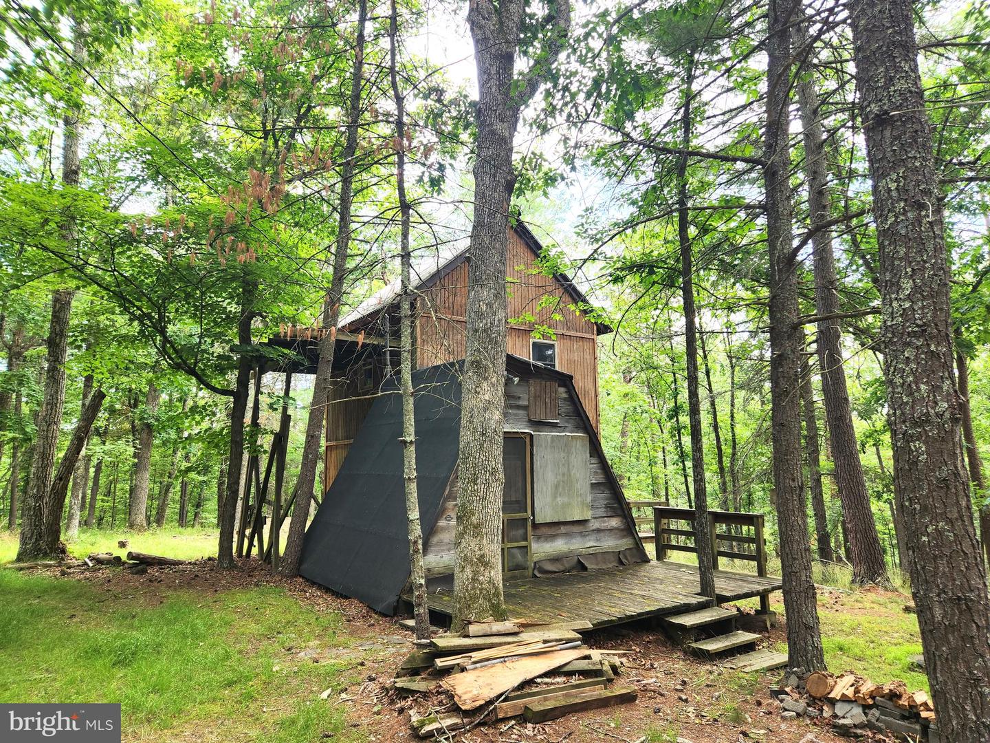217 Lansing Rd Property Photo 2