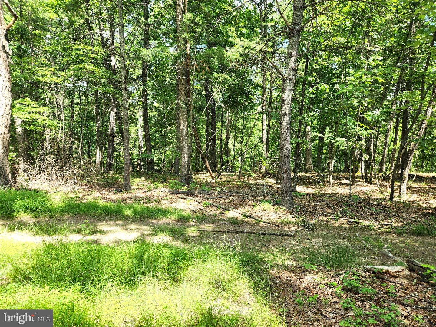 217 Lansing Rd Property Photo 16