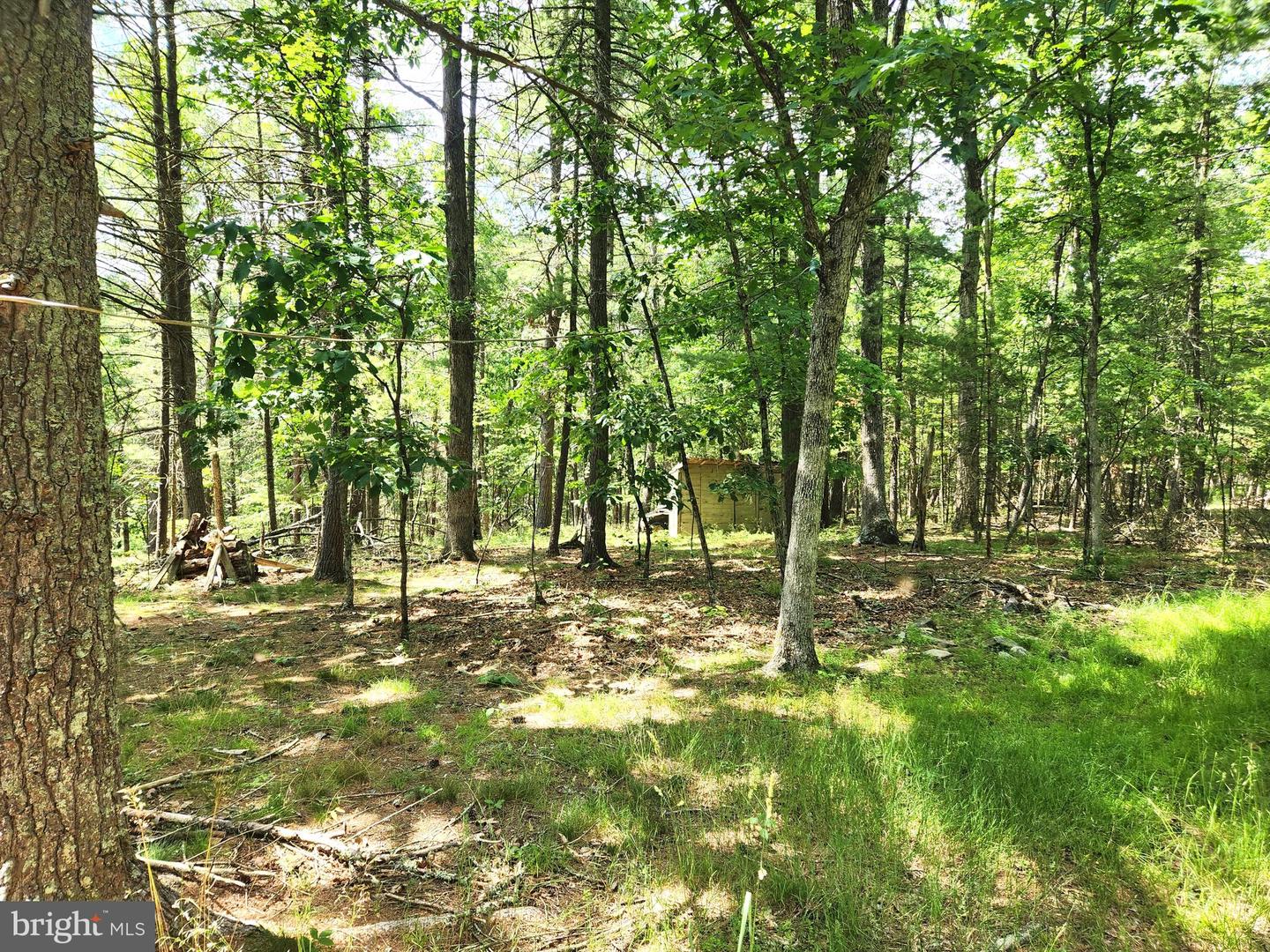 217 Lansing Rd Property Photo 17
