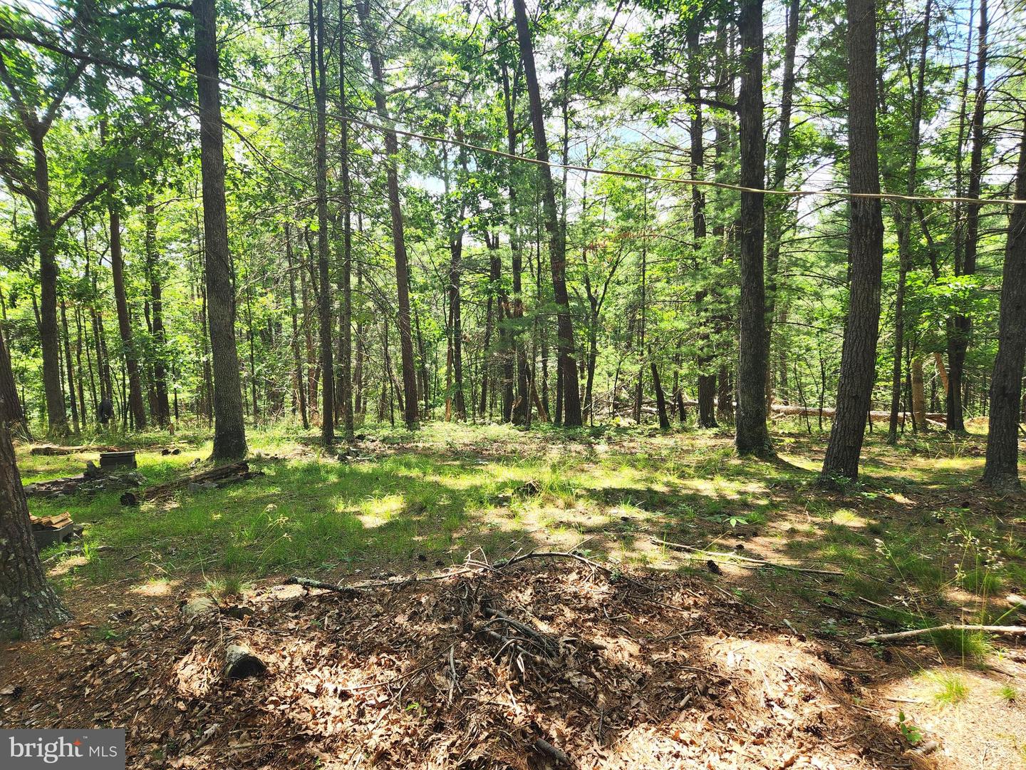 217 Lansing Rd Property Photo 18