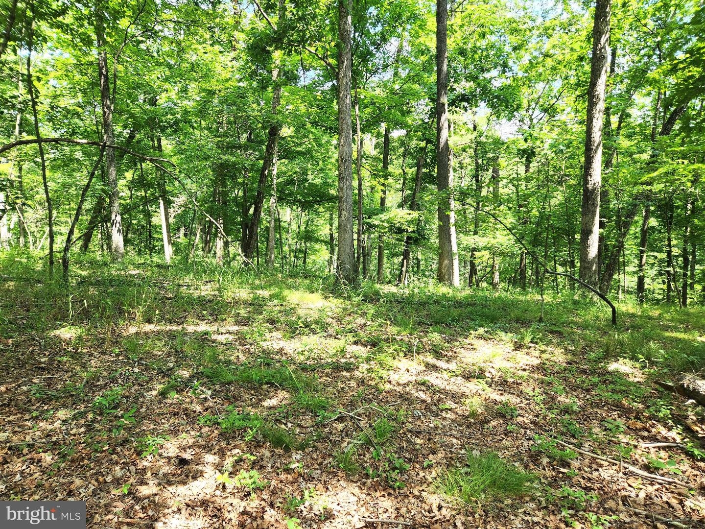 217 Lansing Rd Property Photo 20