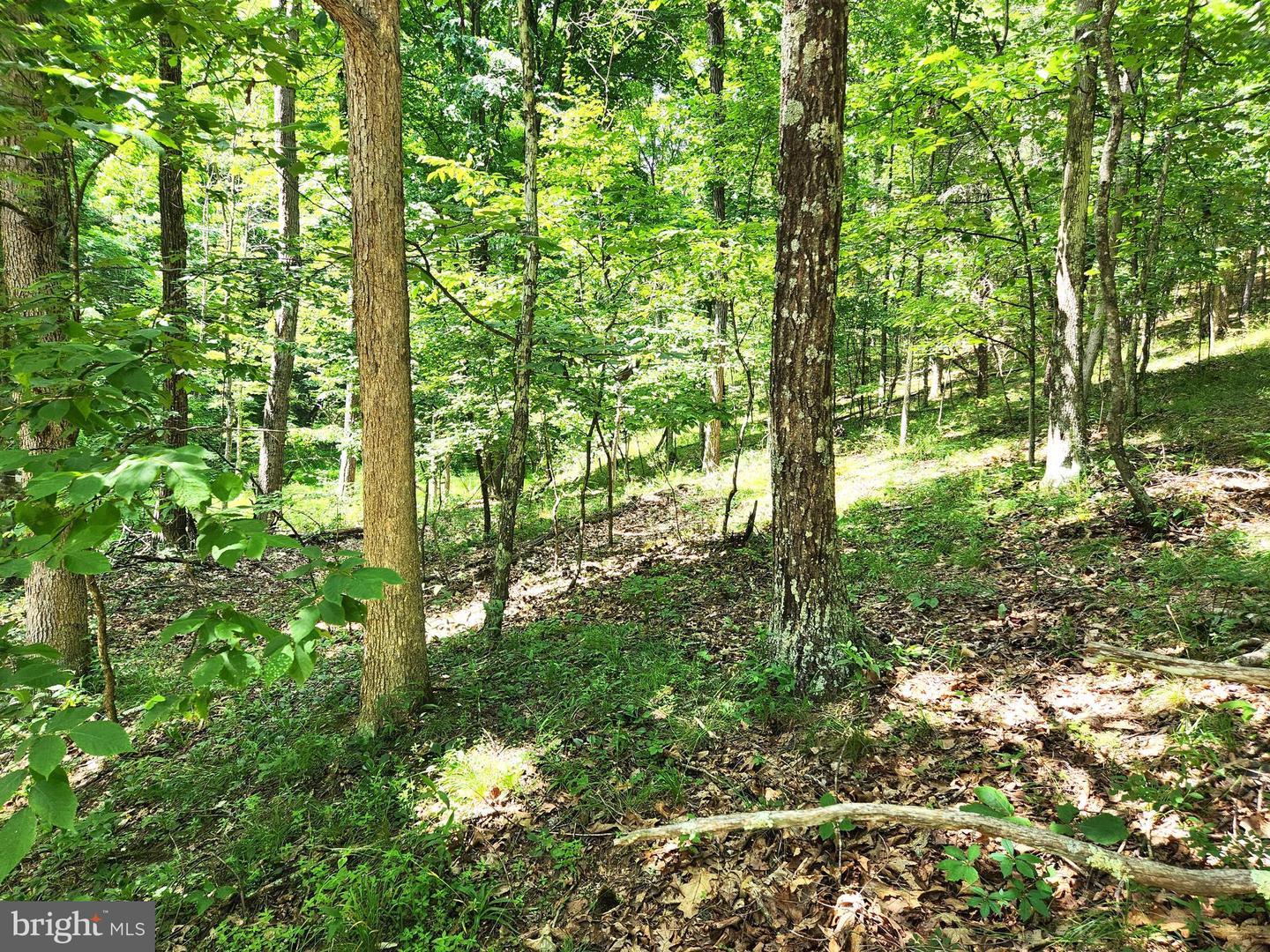 217 Lansing Rd Property Photo 22
