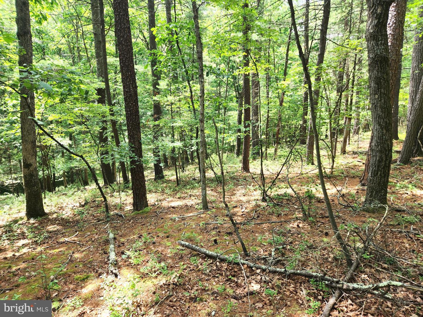 217 Lansing Rd Property Photo 29