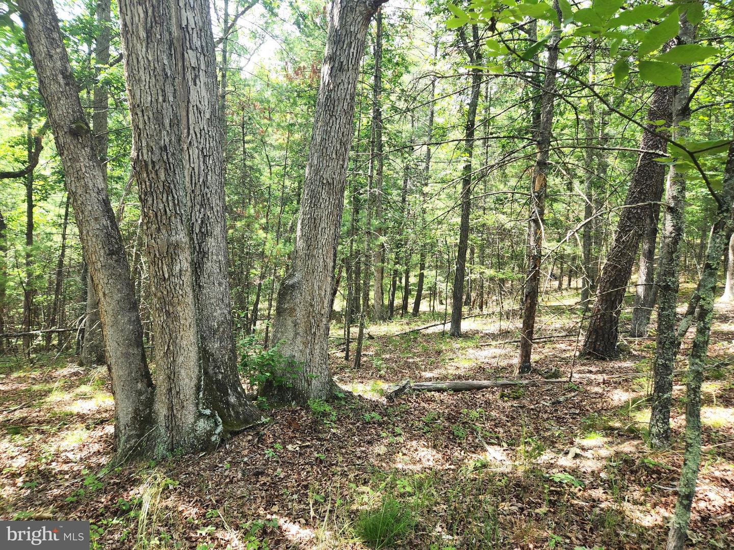217 Lansing Rd Property Photo 30