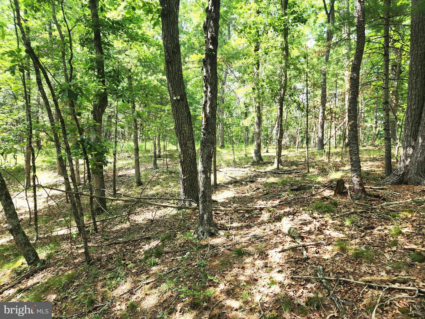 217 Lansing Rd Property Photo 31