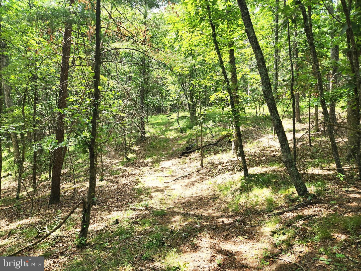 217 Lansing Rd Property Photo 32