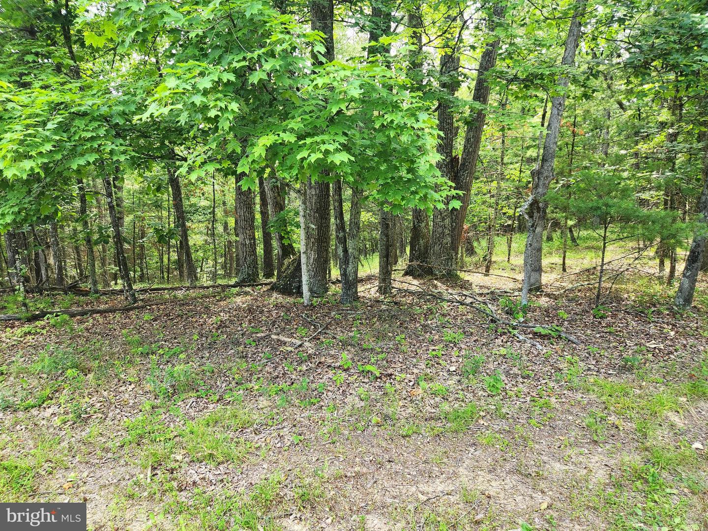 217 Lansing Rd Property Photo 43