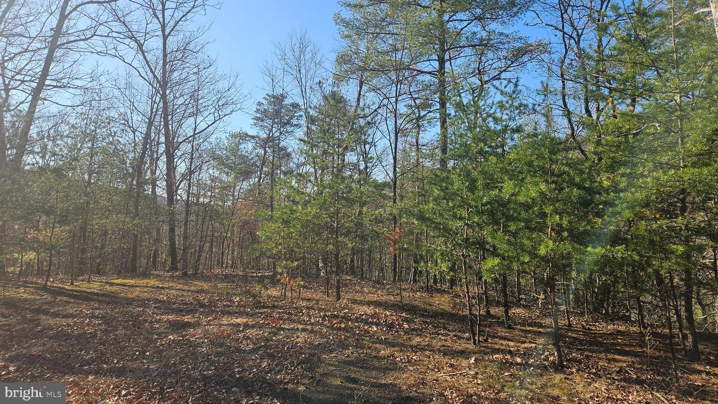 00 Tiger Valley Rd Property Photo 1