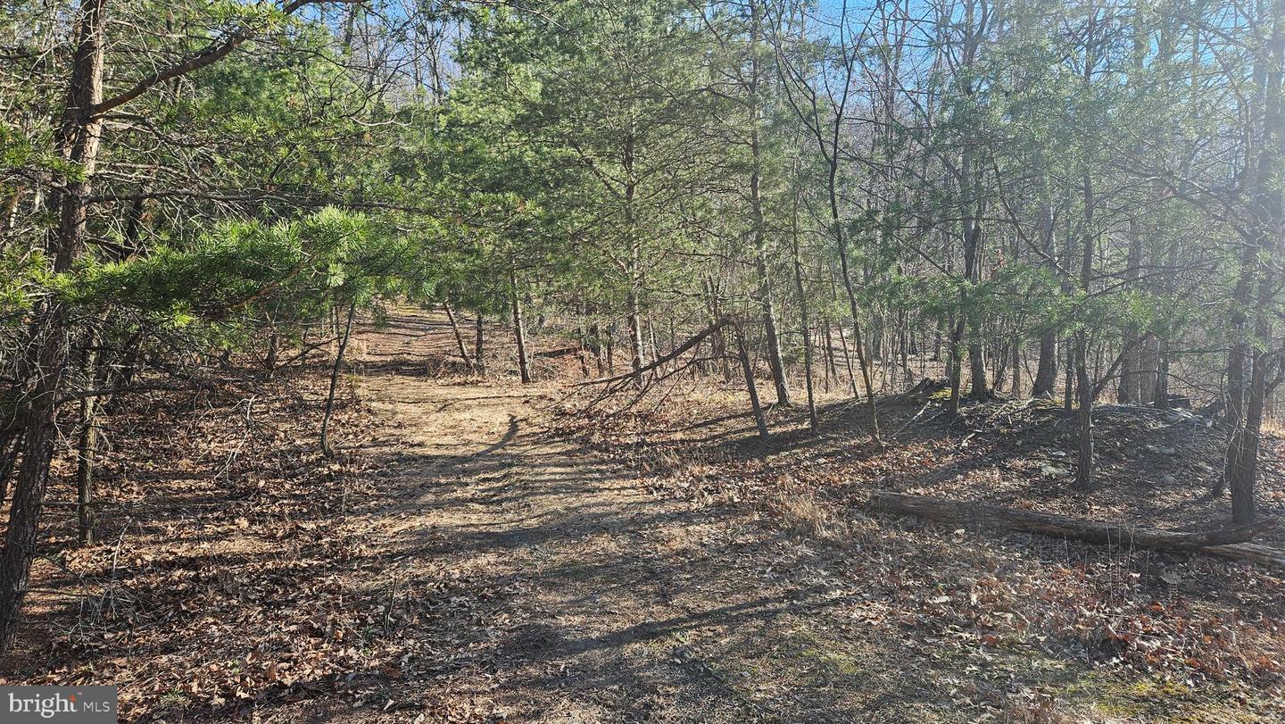 00 Tiger Valley Rd Property Photo 3