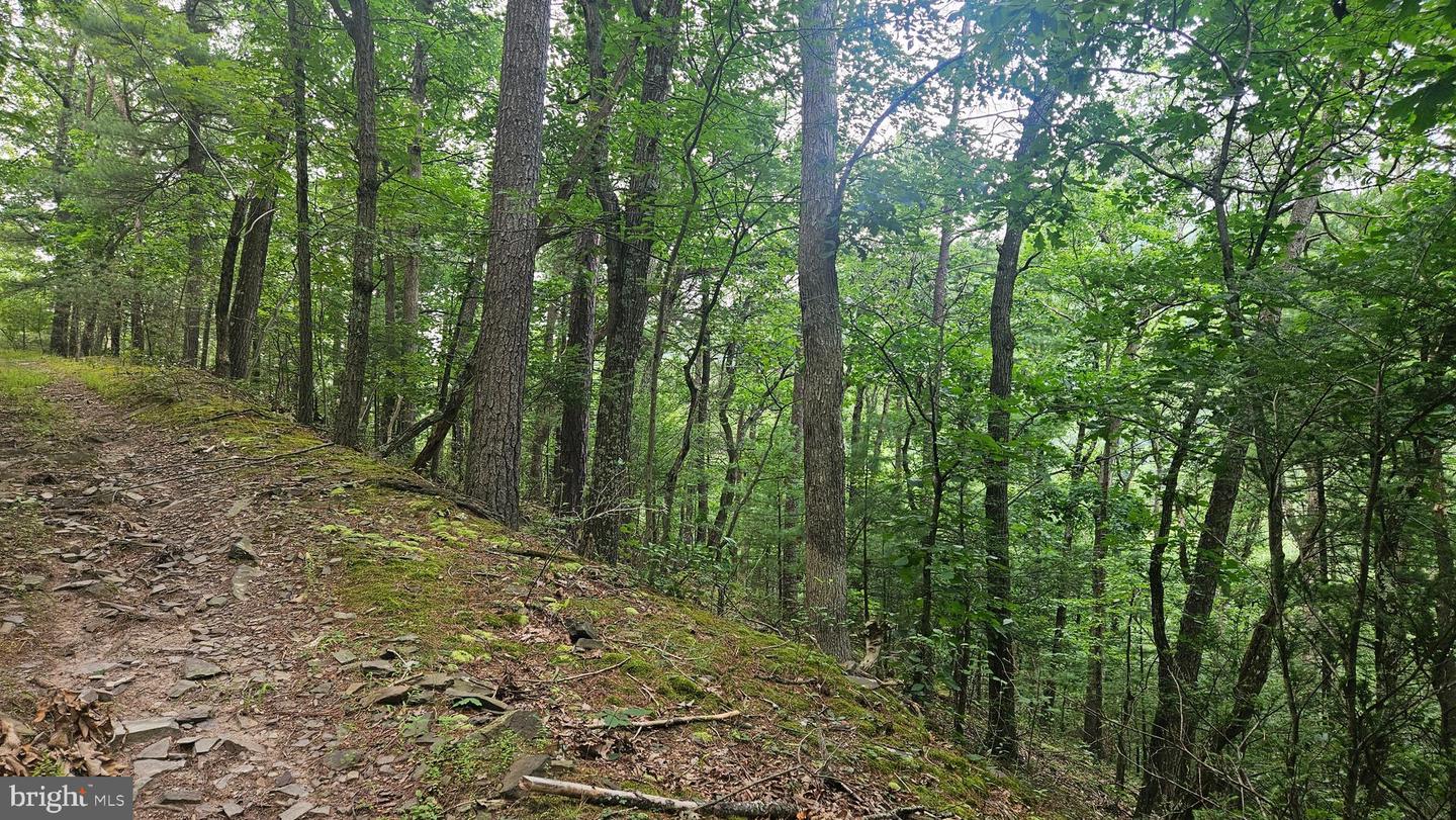 00 Tiger Valley Rd Property Photo 4