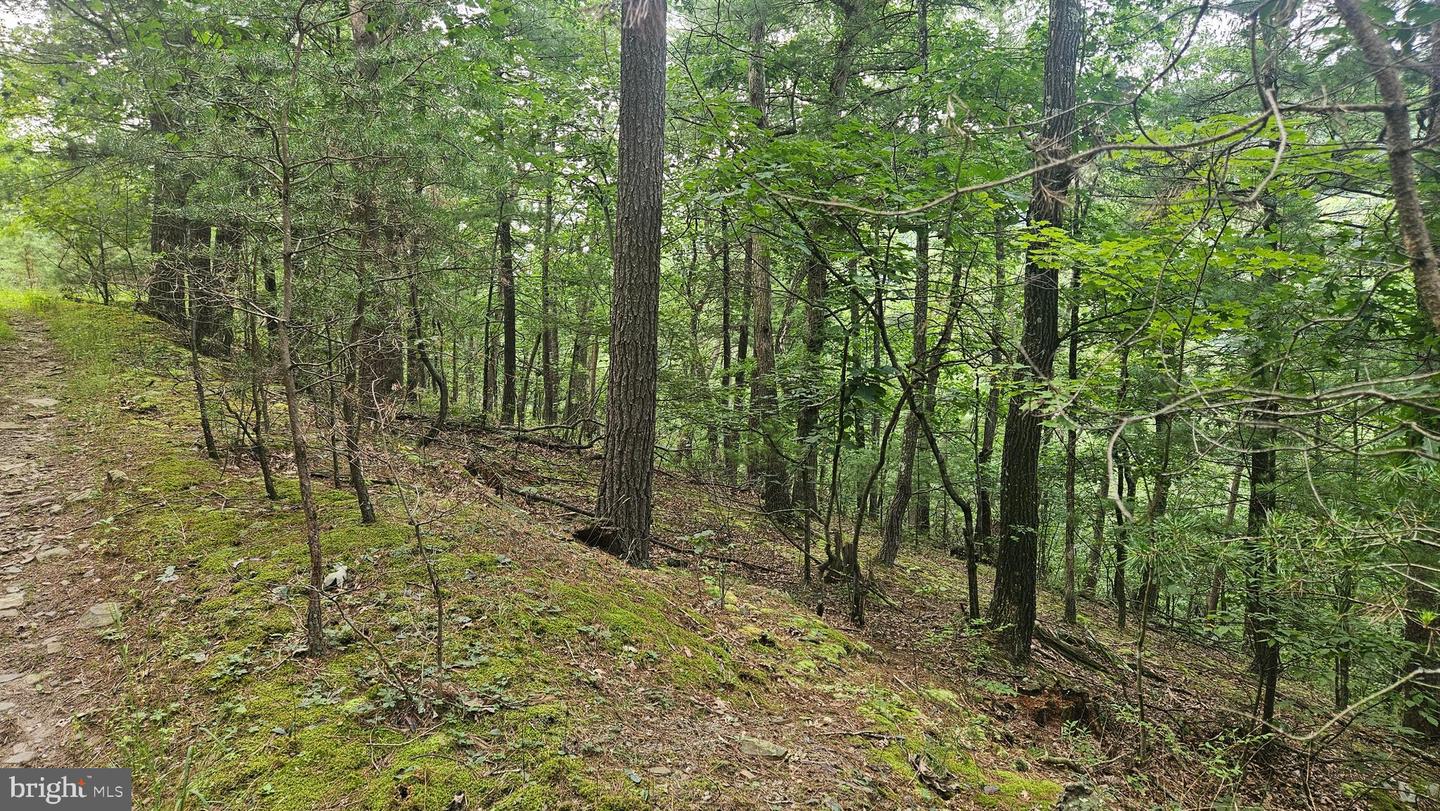 00 Tiger Valley Rd Property Photo 5