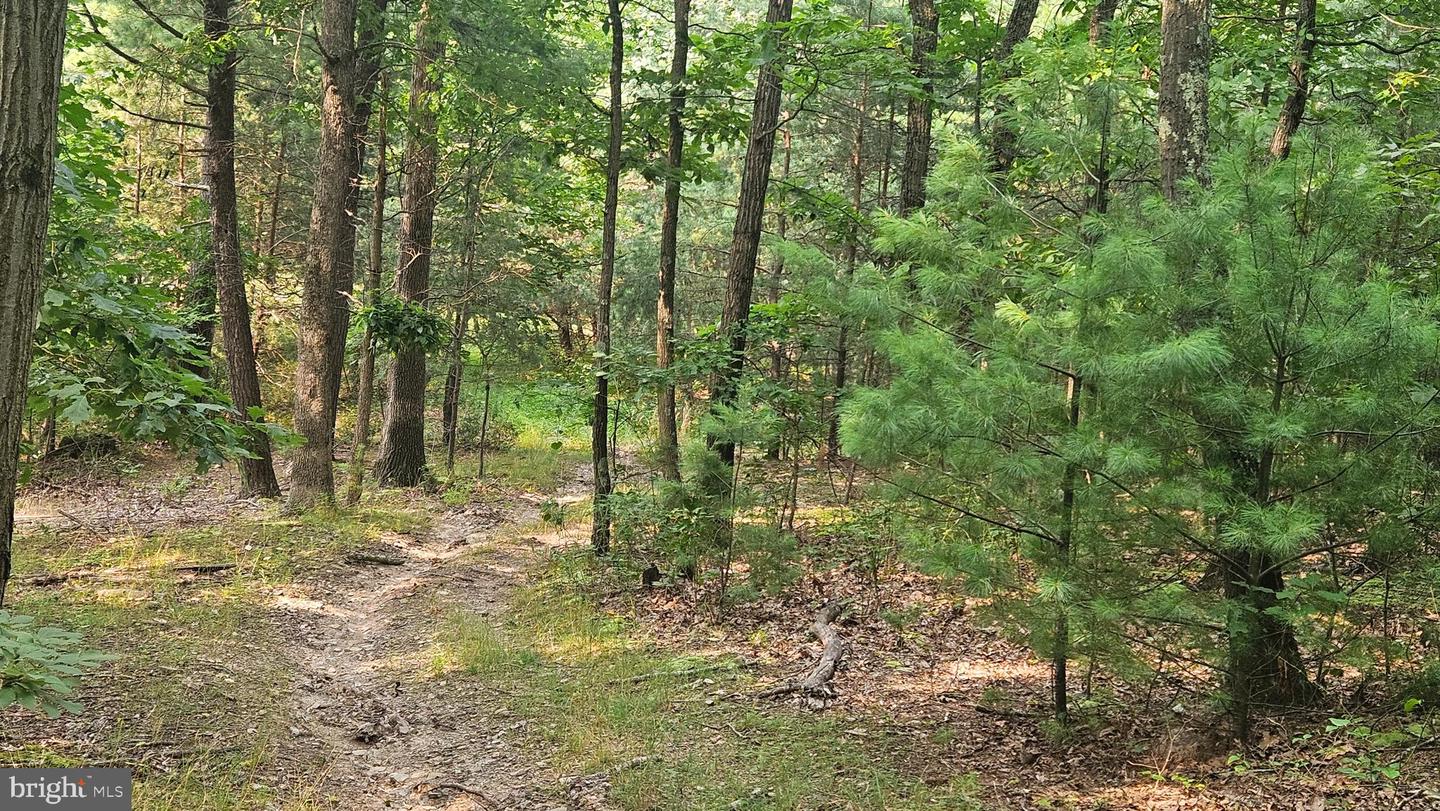 00 Tiger Valley Rd Property Photo 8