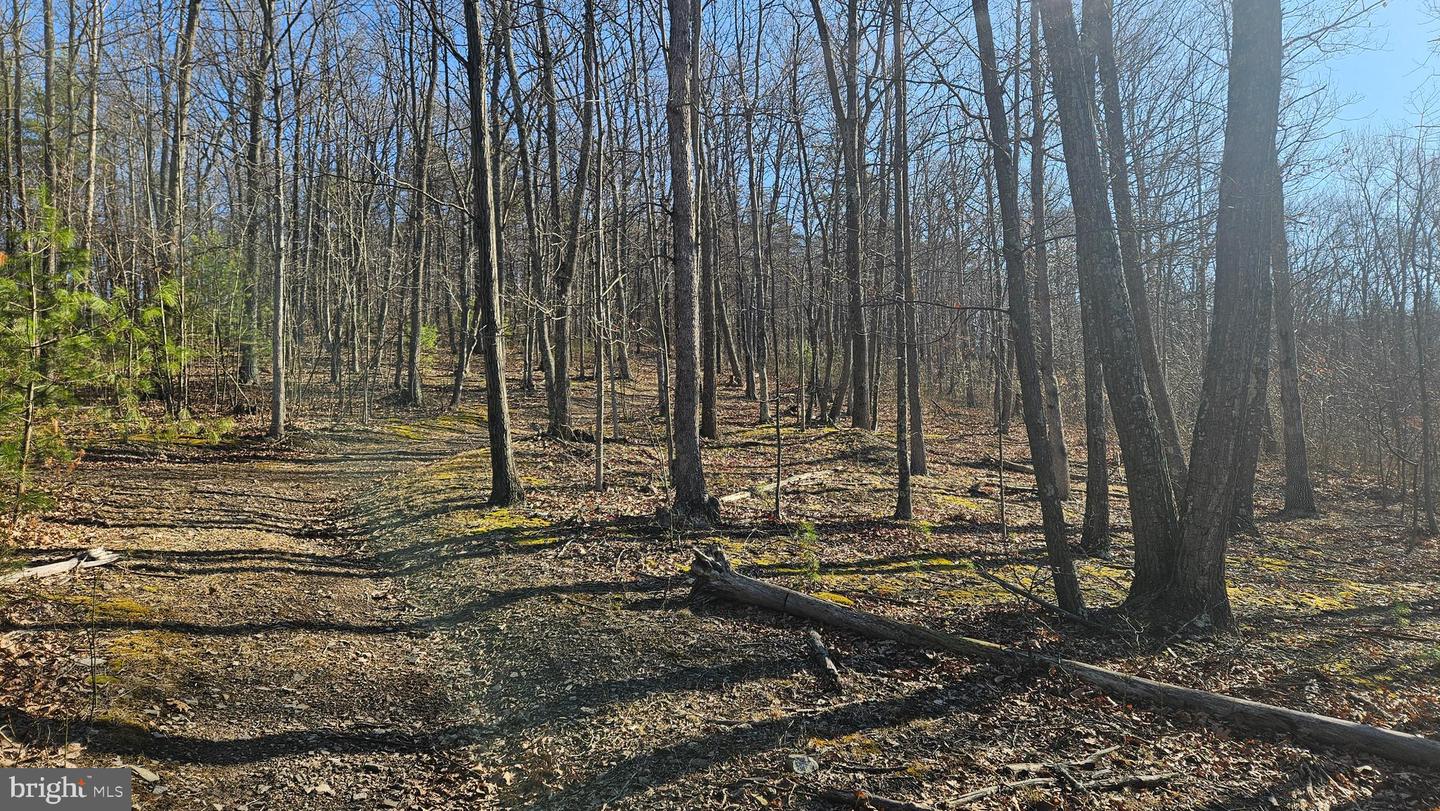 00 Piney Creek Rd Property Photo 1