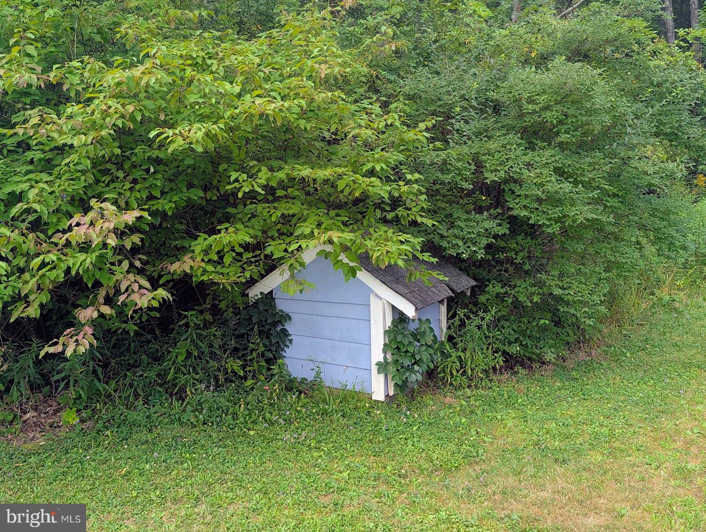 3205 Raystown Rd Property Photo 78