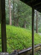 198 Blue Knob Rd Property Photo 46