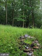 198 Blue Knob Rd Property Photo 47