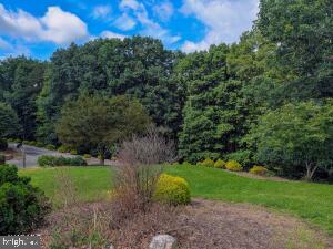 495 Ritchey Bridge Road Property Photo 133