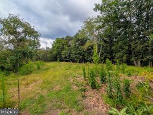 495 Ritchey Bridge Road Property Photo 139