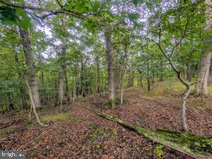 495 Ritchey Bridge Road Property Photo 146
