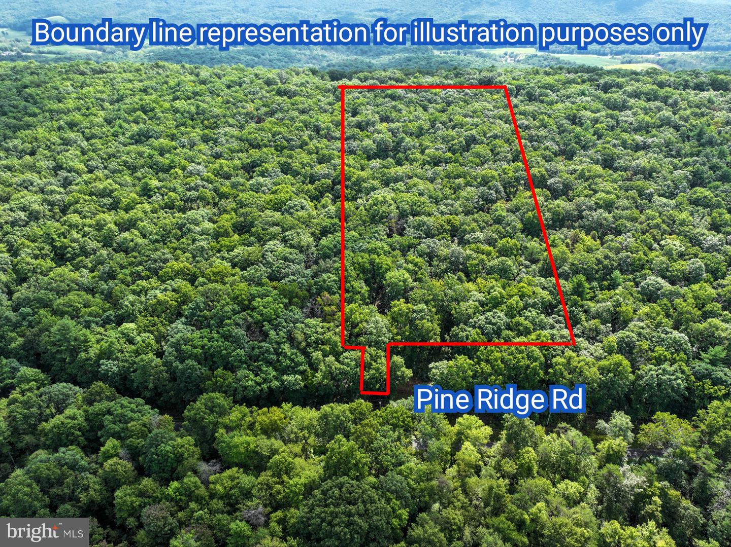 1616 Pine Ridge Rd Property Photo 10