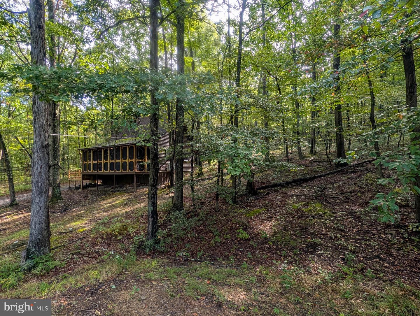 1616 Pine Ridge Rd Property Photo 11