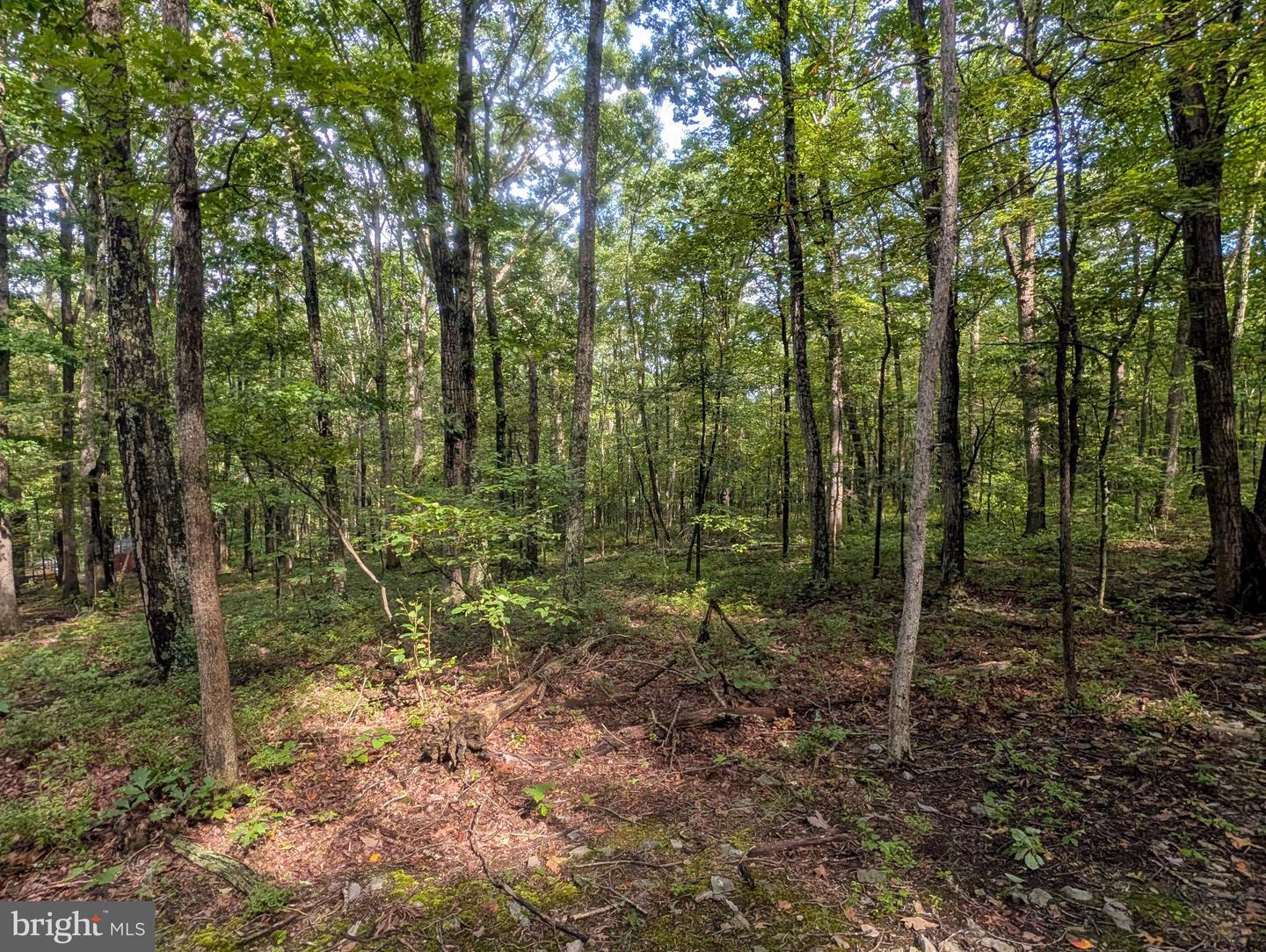 1616 Pine Ridge Rd Property Photo 16