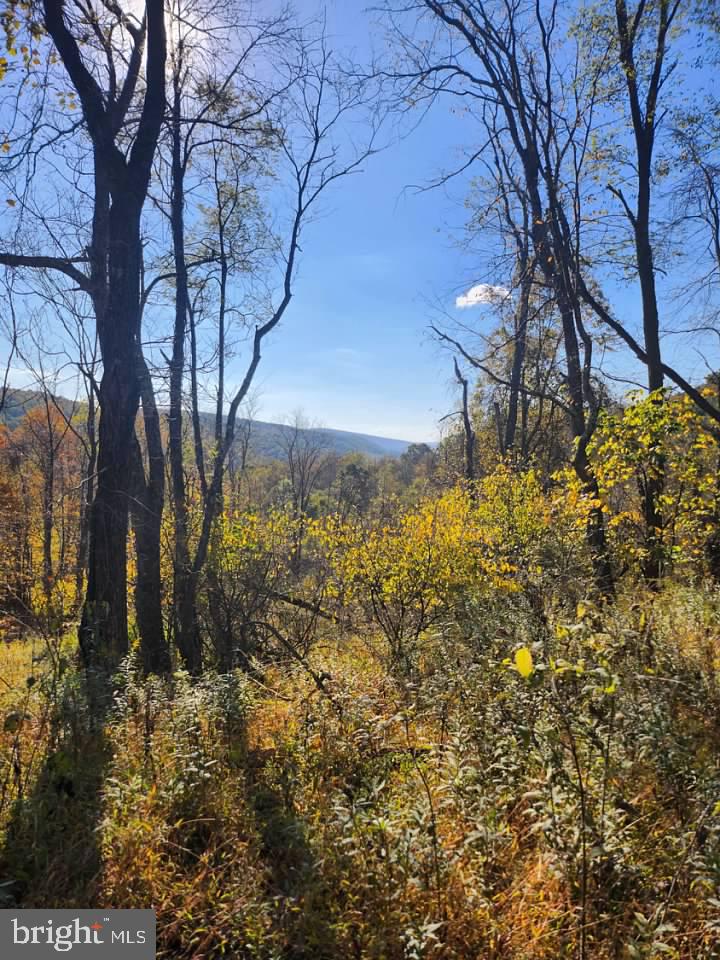0 Off Natures Symphony Property Photo 1
