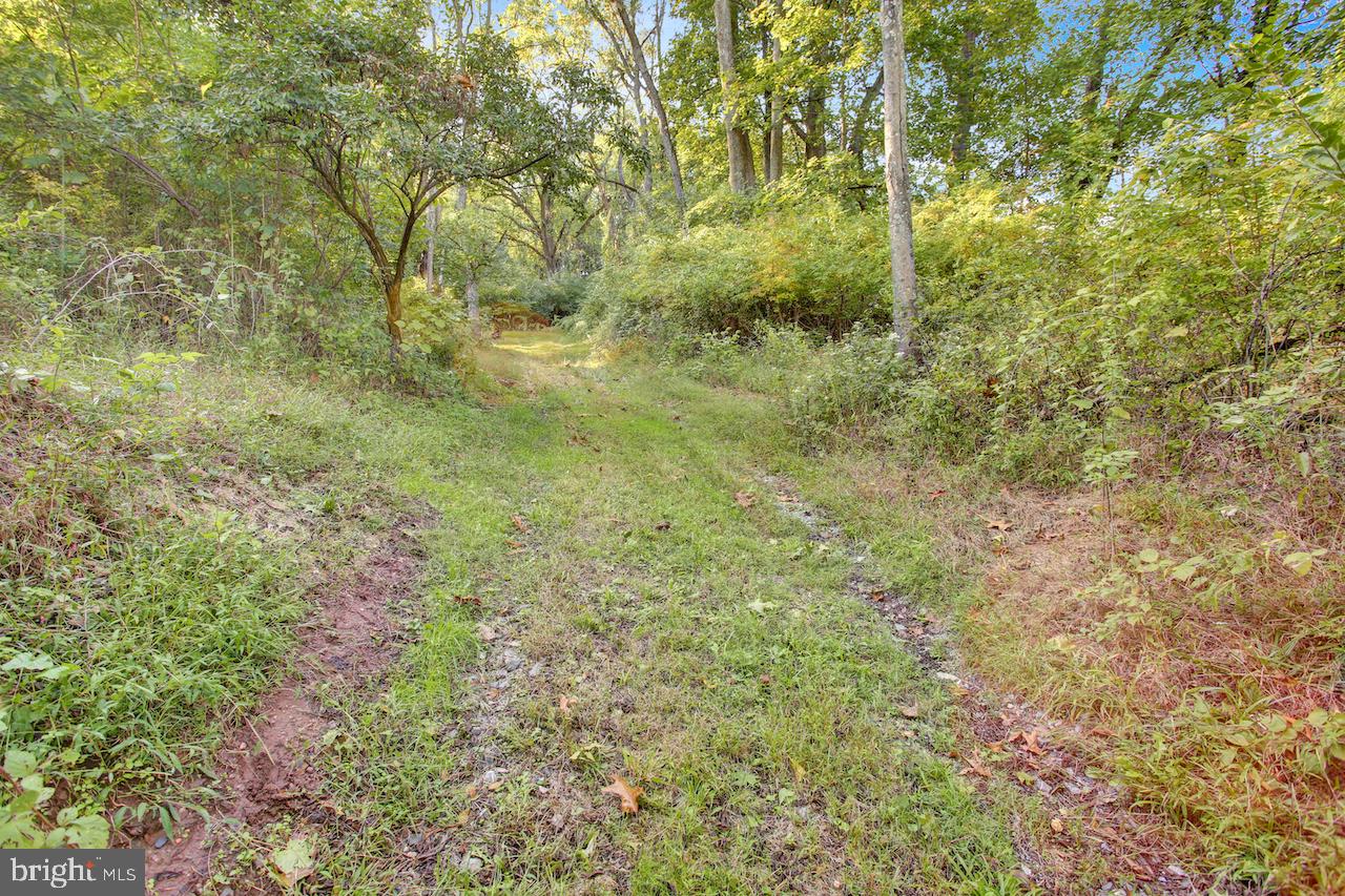 1181-lot - 3 Fritztown Rd Property Photo 7