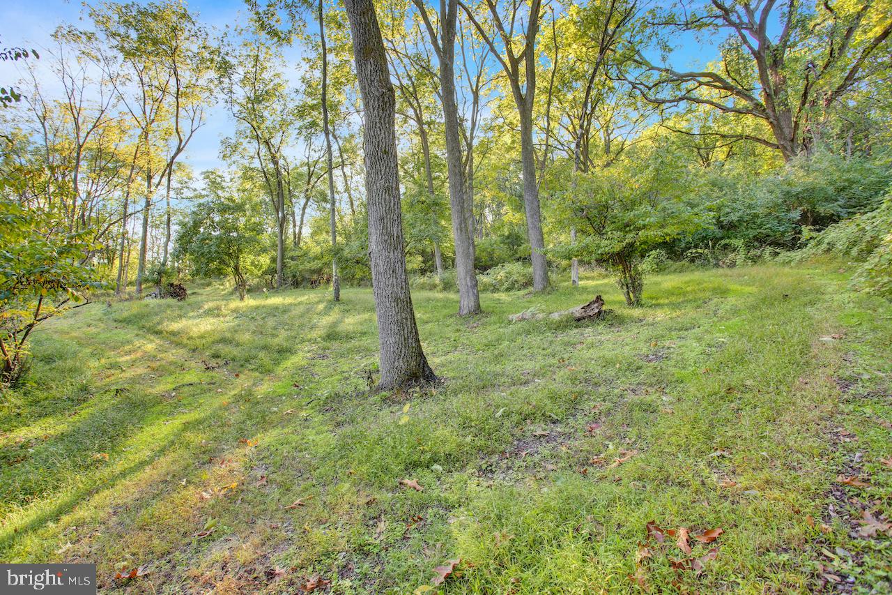 1181-lot - 3 Fritztown Rd Property Photo 8