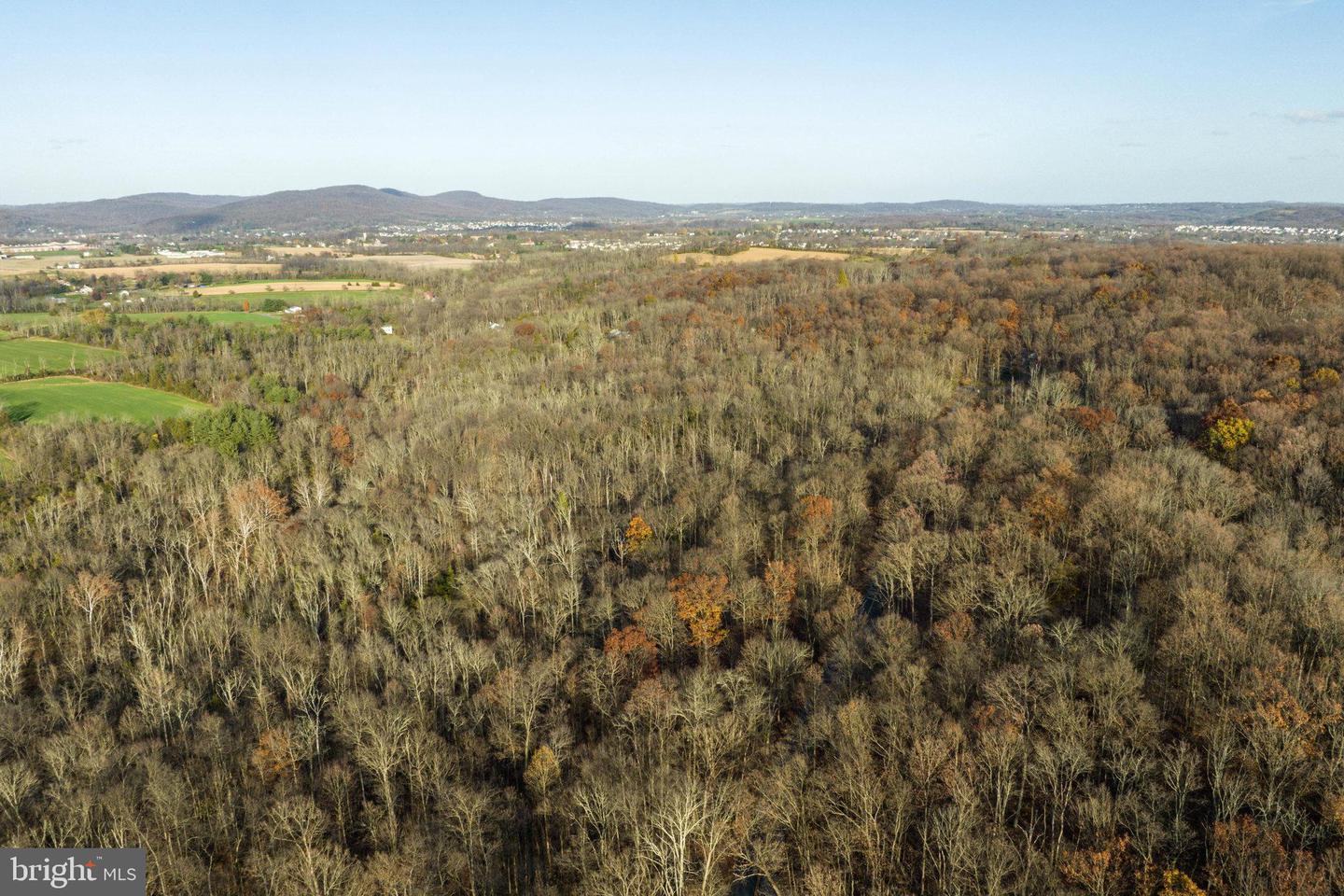Amity Park Rd Property Photo 8