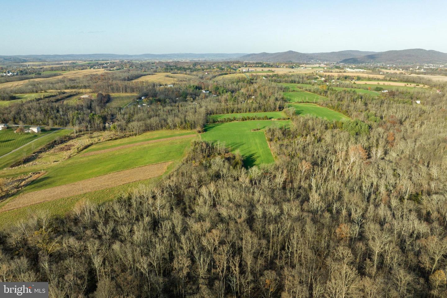 Amity Park Rd Property Photo 11