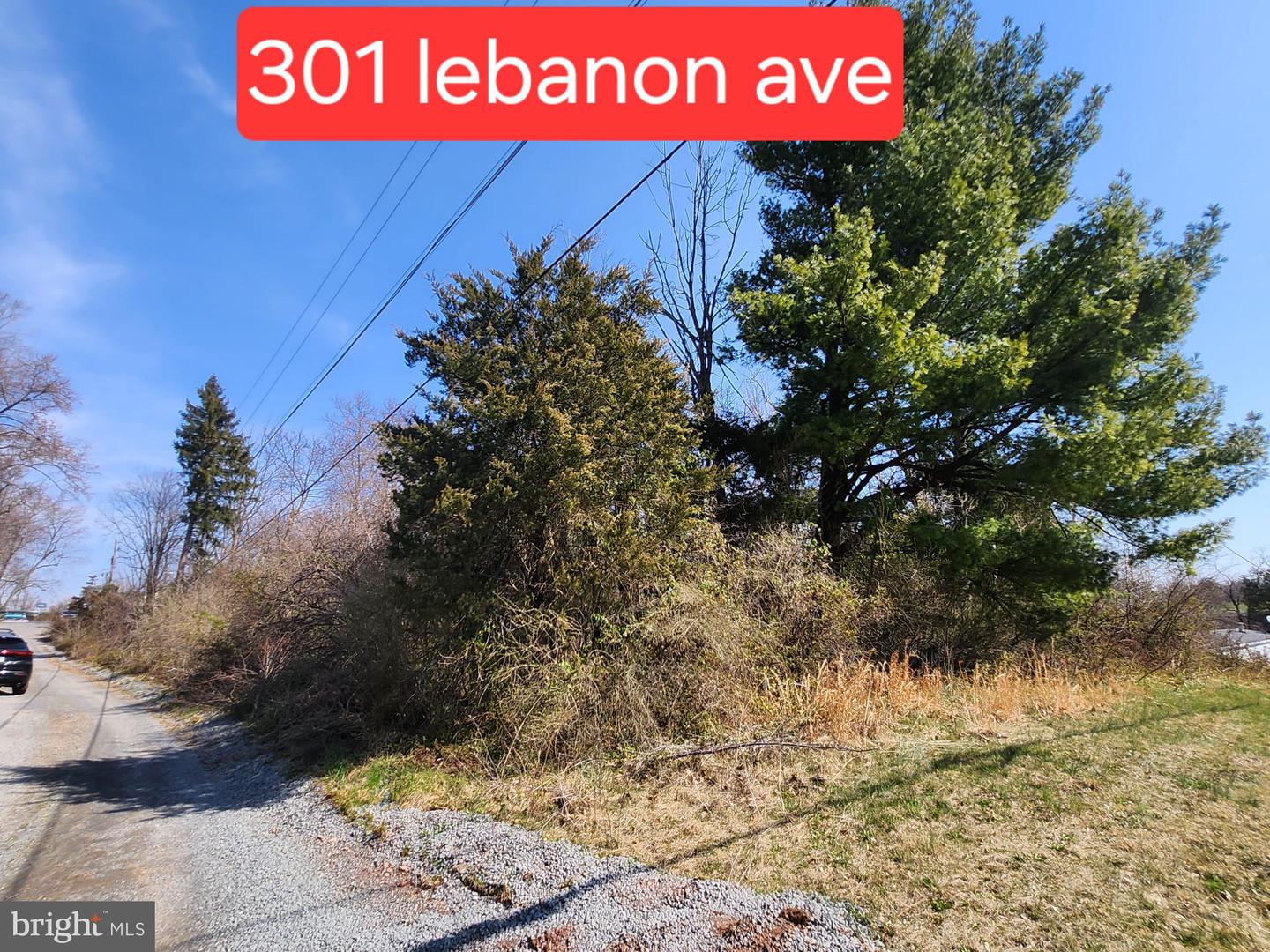 301 Lebanon Ave Property Photo 2