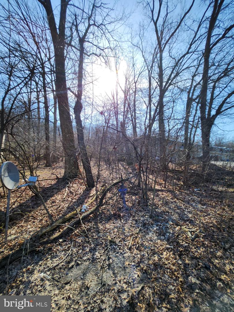 500 Hickory Ave Property Photo 3