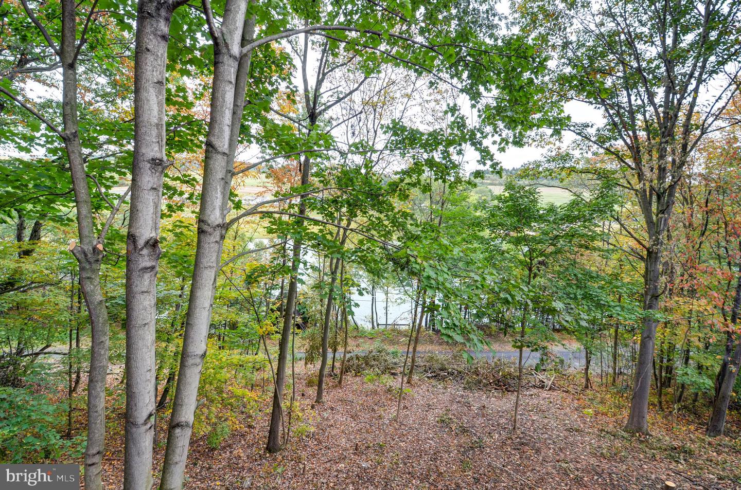 314 Mt View Ln Property Photo 9