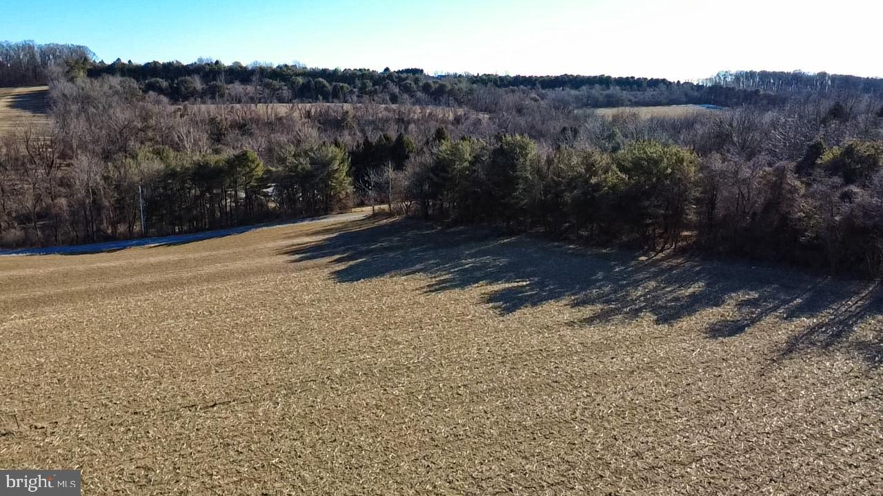 Lutz Rd Property Photo