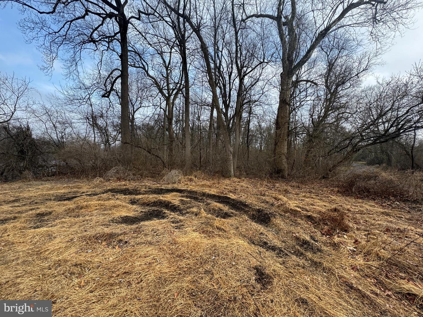 0 Old River Rd Property Photo 1