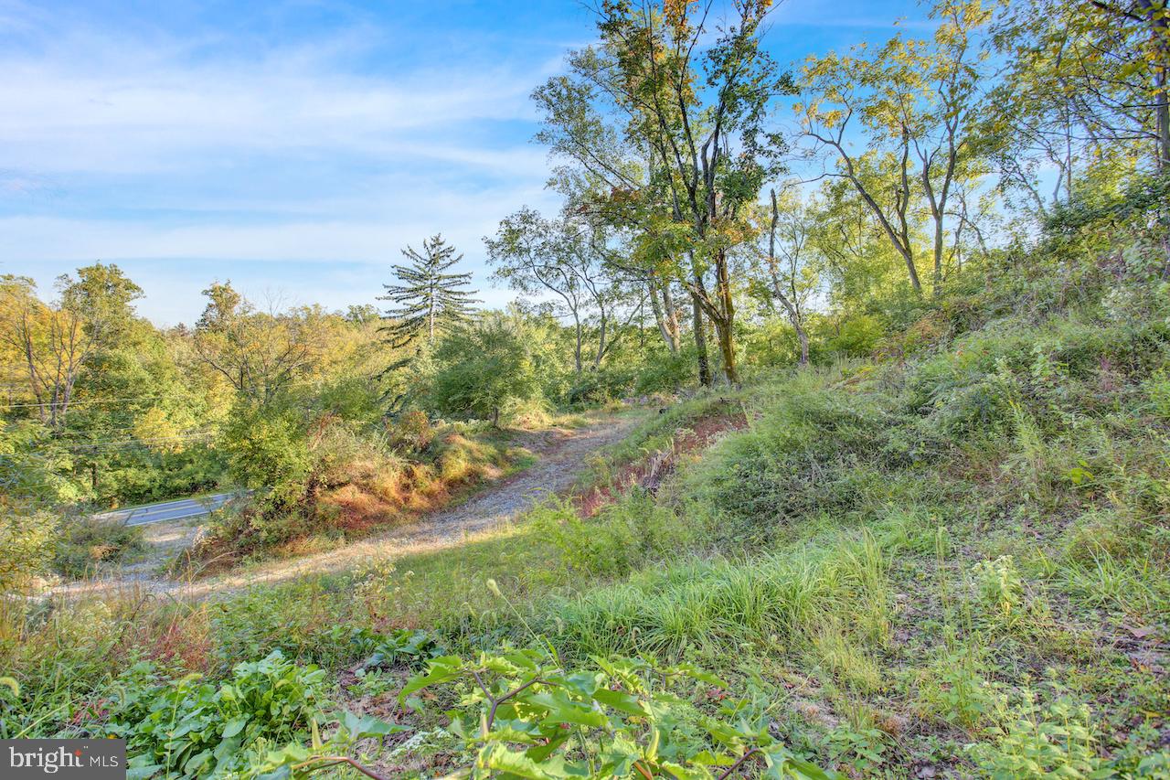 1185 Fritztown Rd Property Photo 4