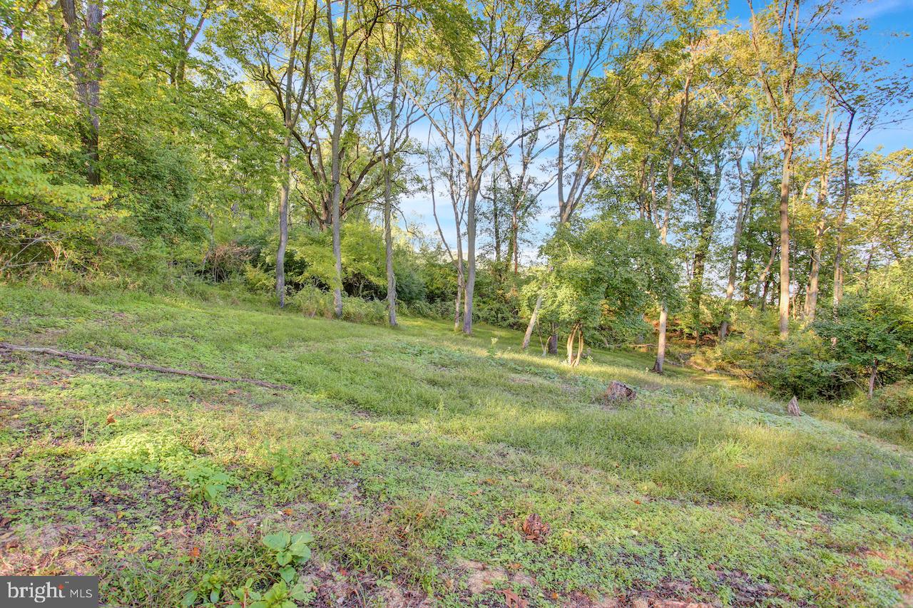 1185 Fritztown Rd Property Photo 5