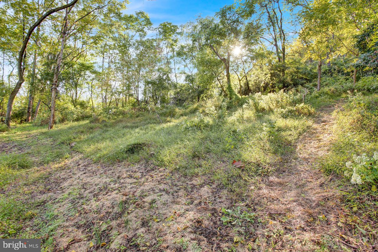 1185 Fritztown Rd Property Photo 6