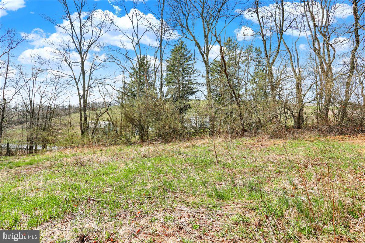 890-lot 4 Long Property Photo 2