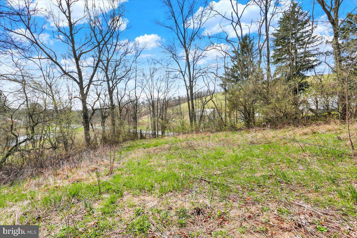 890-lot 4 Long Property Photo 3