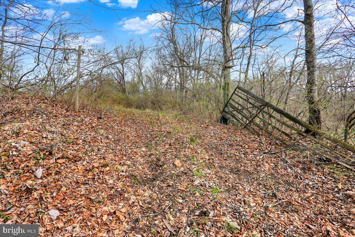 890-lot 4 Long Property Photo 4